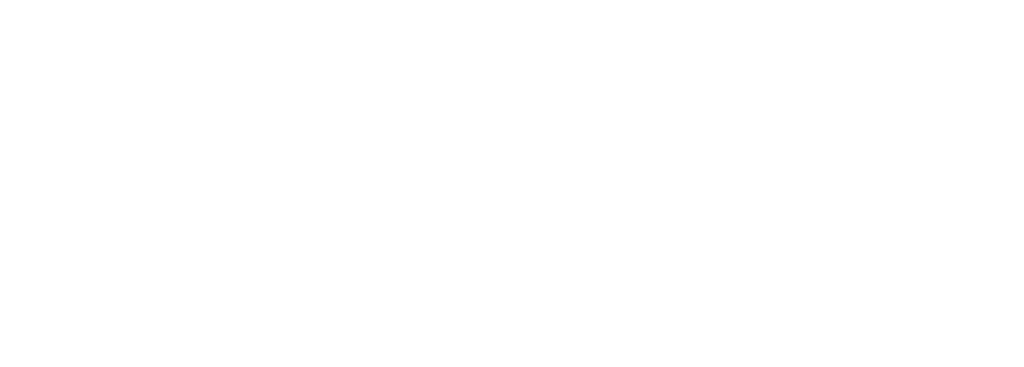 Bonomi_Industries_Srl_Logo_Bianco_72ppi