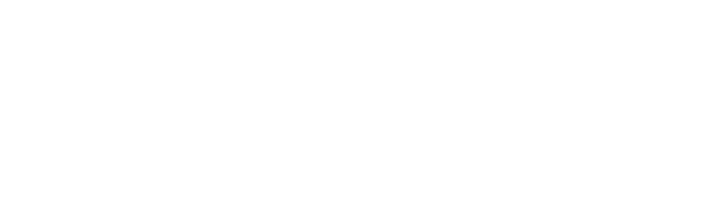 Buffoli_Transfer_Spa_Logo_Bianco_72ppi