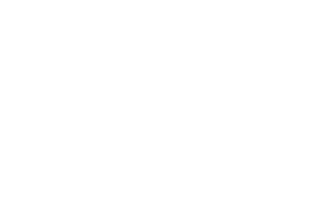 Minipan_Srl_Logo_bianco_72ppi